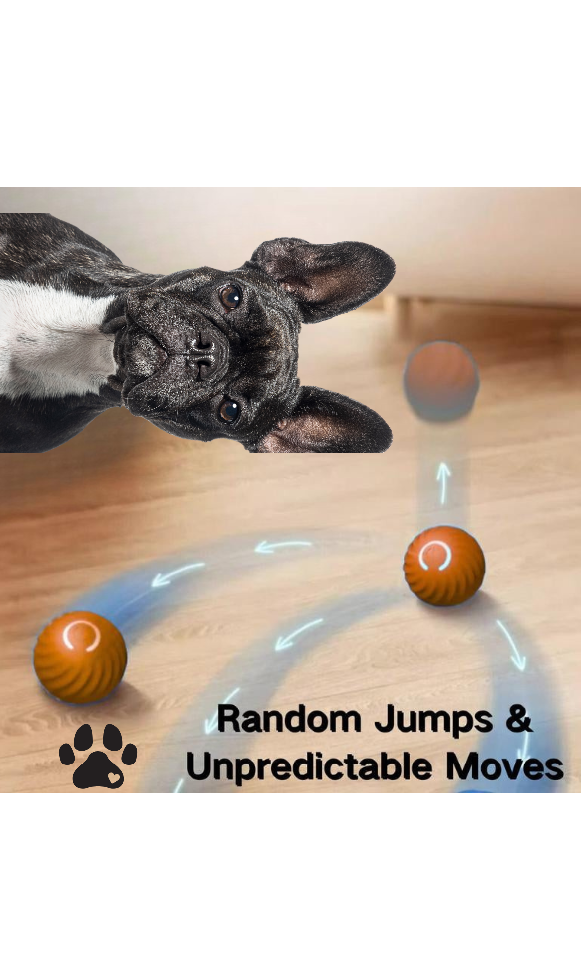 Sea Urchin Smart Pet Bouncing Ball for Dogs