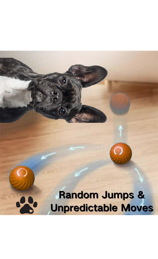 Sea Urchin Smart Pet Bouncing Ball for Dogs